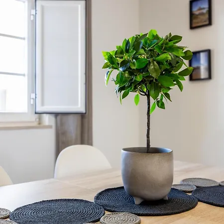 Apartamento Casa Memória *