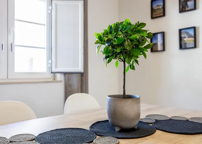 아파트 Casa Memoria *